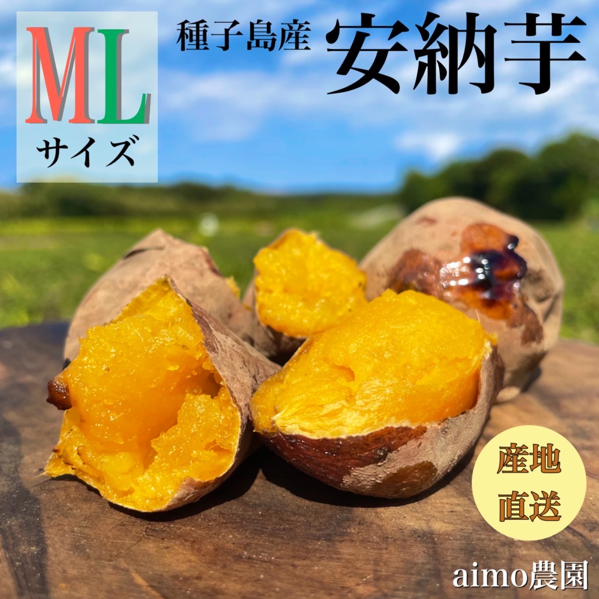 楽天市場】【絶品】種子島産 安納芋 B品（S〜Mサイズ）｜aimo農園