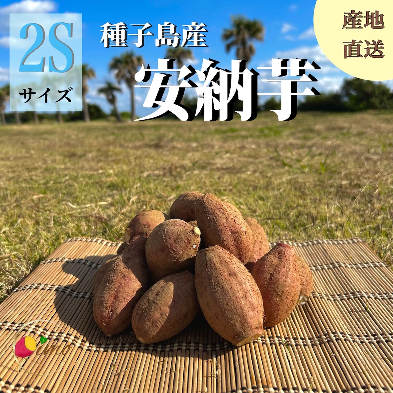 楽天市場】【絶品】種子島産 安納芋 B品（S〜Mサイズ）｜aimo農園