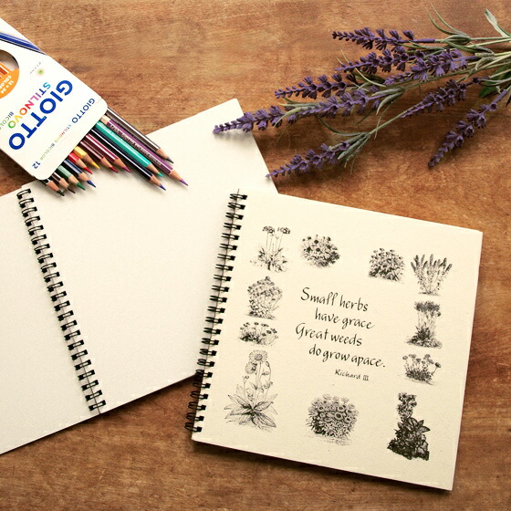 楽天市場 ディズニー ツイステッドワンダーランド スケッチブック B6 ディアソムニア柄 M便 1 1 Disneyzone ランドセルと文房具 シブヤ文房具