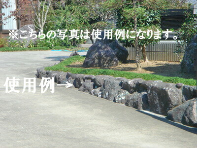 貨物輸送無料 入前引き不可 紫雲石塊 土留めしつらえる Big号 の 石セットです 羶肉厚で巨なる紫雲石が含まれてきます Newbyresnursery Com