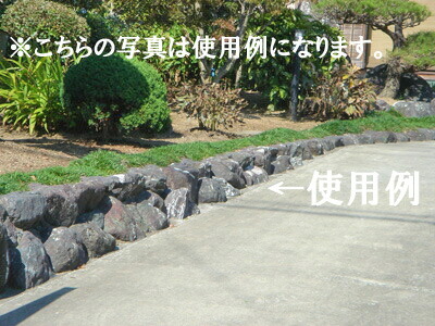 貨物輸送無料 入前引き不可 紫雲石塊 土留めしつらえる Big号 の 石セットです 羶肉厚で巨なる紫雲石が含まれてきます Newbyresnursery Com