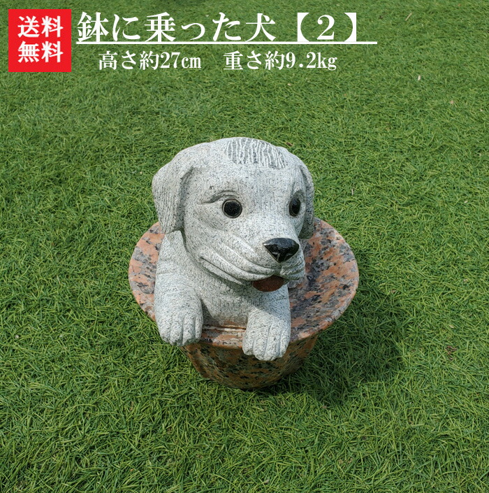 楽天市場】【送料無料】【犬のオーナメント】靴に乗った犬の置物玄関