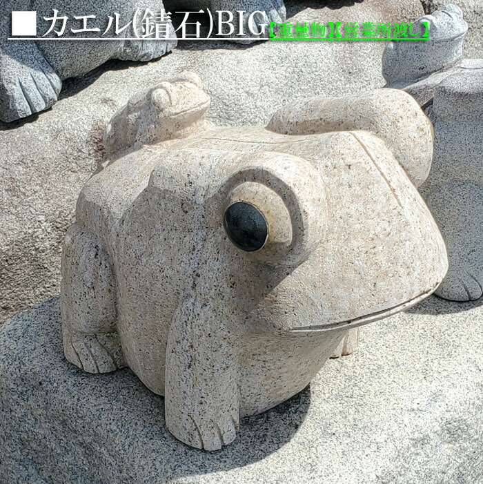 楽天市場】カエルの石像 Mサイズ 30cm コンクリート製 蛙の石像 かえる