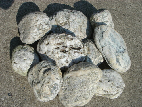 楽天市場】【送料無料】【代引不可】阿波の青石土留め石【青石20石