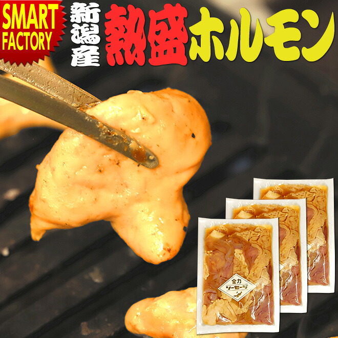 【本日限定!全品クーポン】 肉 焼肉 ホルモン 全力ソーセージ 熱盛ホルモン 220g 冷凍 1人前 タレ漬け 漬けダレ 国産 新潟 焼き肉 BBQ バーベキュー アウトドア 送料無料 ☆ プレゼント ギフト 防災 猛暑 熱中症対策 節約｜自転車通販　スマートファクトリー