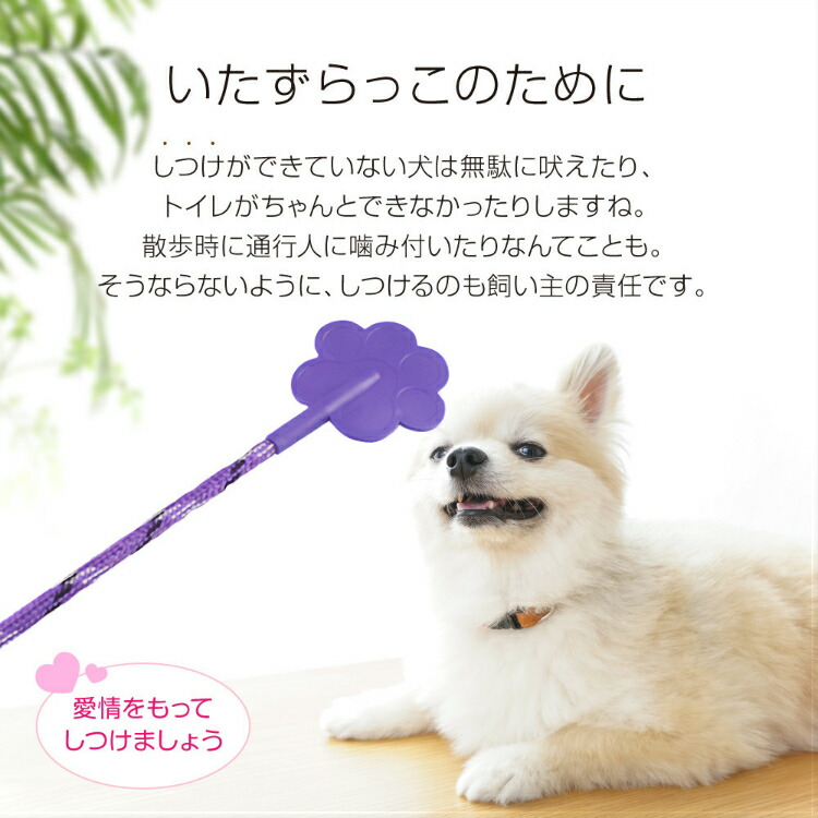 トレーニングホイップ 犬用 おやつ かわいい しつけ イエロー オレンジ コミニュケーション ゴム スティック ストレス解消子犬 トレーニング機器 パープル ペットのマナー ペット犬用トレーニングホイップ ペット用 中型犬 吊り紐付き 大型犬用 猫 短 耐久性 花形 長 激安