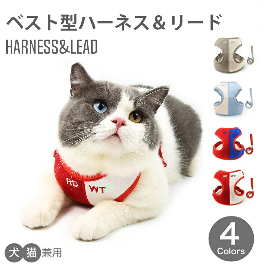 猫用ハーネス ハーネス 抜けない 胴輪 リード メッシュ 猫用 ネコ キャット ねこ 小型犬 かわいい お出かけ おしゃれ 散歩 外出 通院 災害  避難 ペット 簡単脱着 サイズ調整 ソフトタッチ ハーネス型 リード付き 散歩ひも 犬をしまえ 猫もしまえ S M L XL