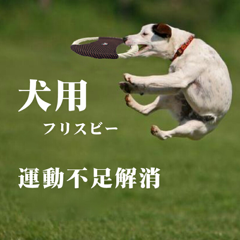 Off ２冠達成 犬用 犬用フリスビー 噛むおもちゃ 訓練おもちゃフリスビー 可愛い熊 運動不足解消 噛むストレス解消 デザインもよく 投げるおもちゃ