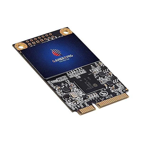 【貨物輸送無料】GamerKing SSD Msata 1結核症 SATA III 6Gb/s NGFF 内蔵型 Solid State Drive 捉え所のない運転 高性能ハ