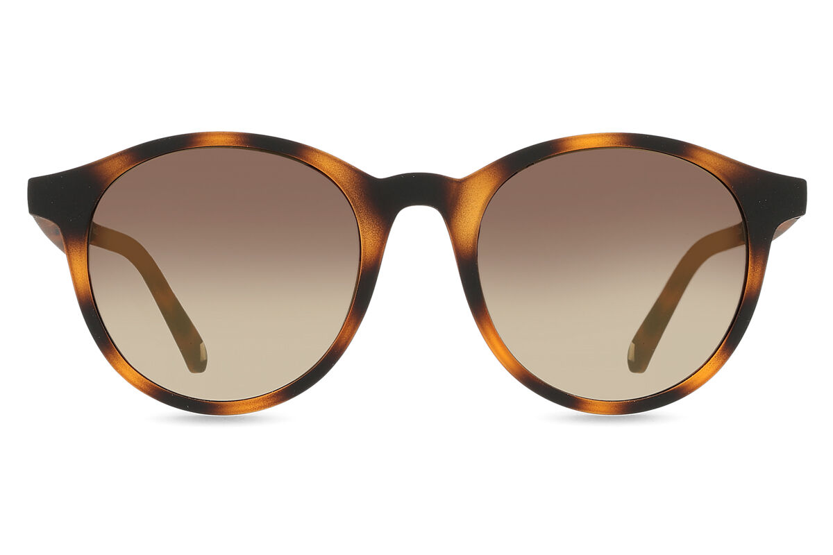 テッドベイカー Ted Baker TB1503 Odell 173 Full rim フルリム トータスシェル Unisex ユニセックス 男女兼用 メンズ レディース Sunglasses サングラス さんぐらす 【UVカテゴリ0】【正規品】【新品】【海外通販】【送料無料】｜SmartBuyGlasses