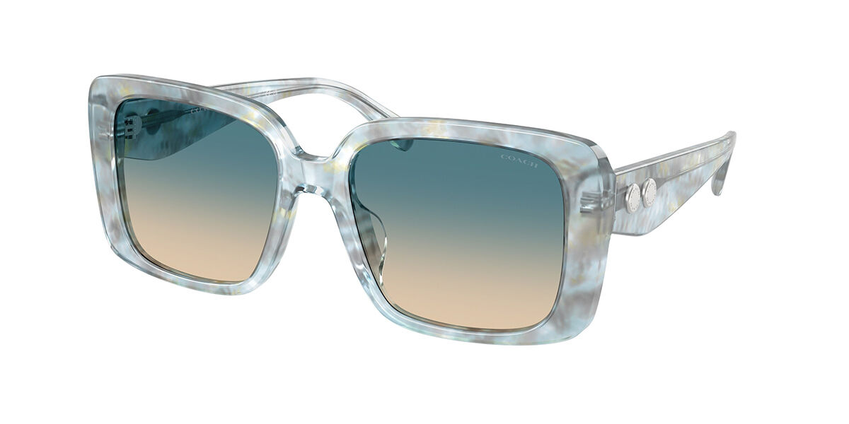【正規品】【送料無料】コーチ Coach HC8424U CAD54 58664M New Women Sunglasses【海外通販】