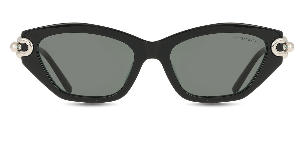 ティファニー Tiffany & Co. TF4231U 8055S4 Full rim フルリム ブラックオンティファニーブルー Women レディース 女性用 ウィメンズ Sunglasses サングラス さんぐらす 【UVカテゴリ3】【正規品】【新品】【海外通販】【送料無料】｜SmartBuyGlasses
