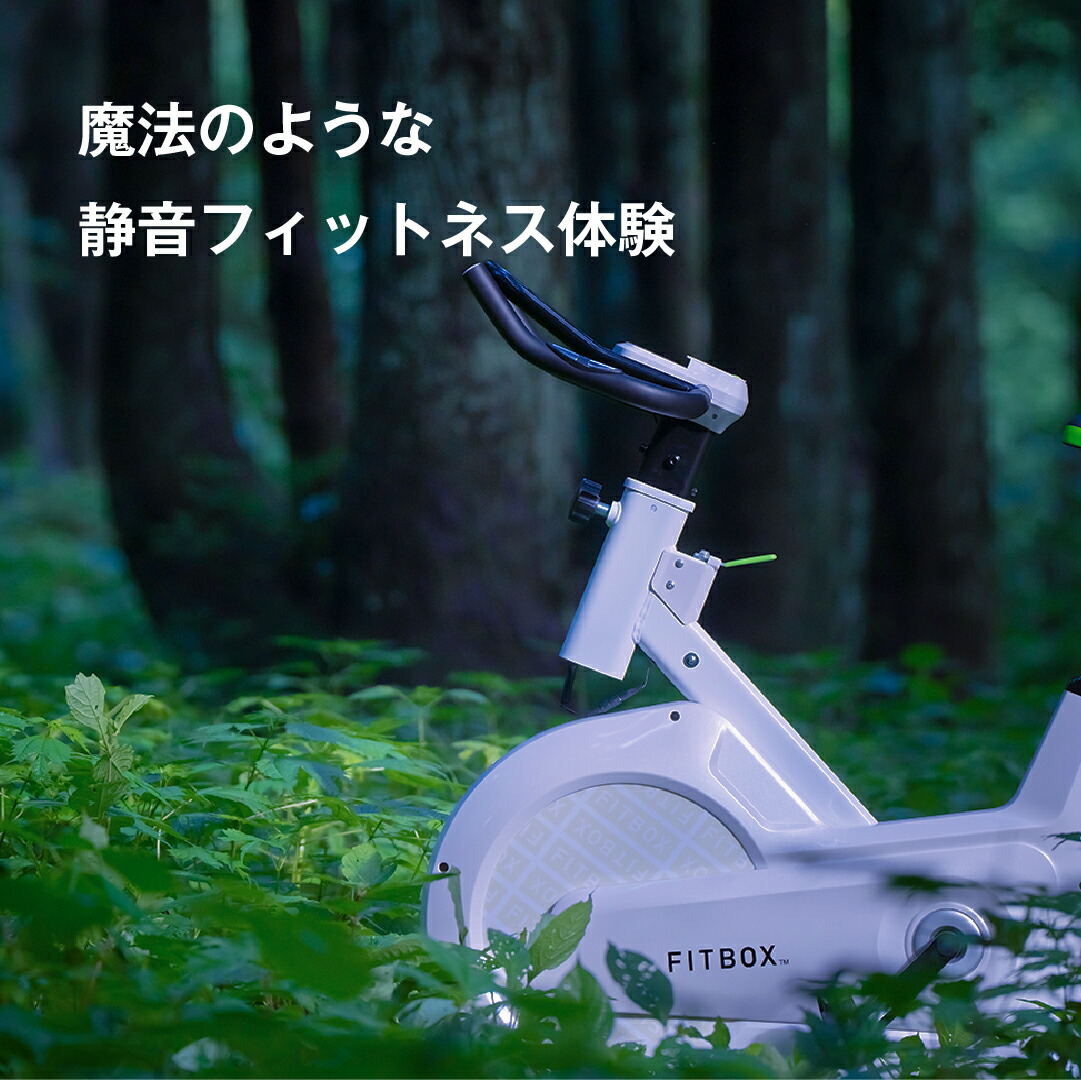 フィットネスバイク　FITBOX　R4527 Amazon | FITBOX LITE フィットネスバイク スピンバイク ダイエット