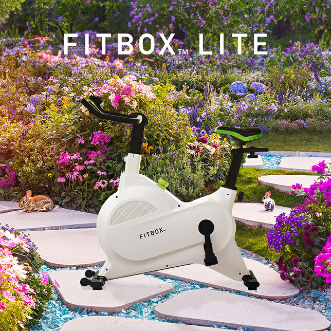 公式 FITBOX LITE】極静音 エアロバイク フィットネスバイク スピン 