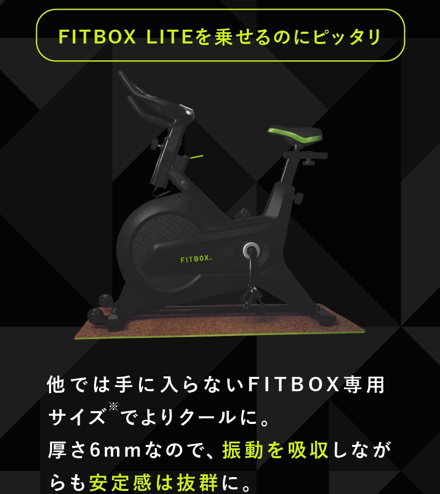 FITBOX LITE エアロバイク 専用マット付き フィットネスバイク 安価