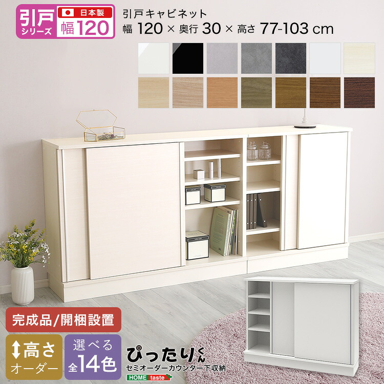【引戸シリーズ】セミオーダーカウンター下収納ぴったりくん キャビネット 幅120cm×奥行30cm