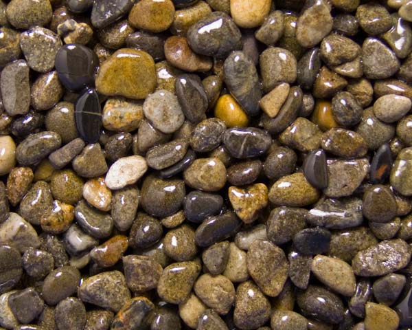 かわき切るさざれ石 御浜 （20kg）5袋仕掛ける 【貨物輸送無料】 庭 さざれ石 総やか ガーデニング かざり付けるさざれ石天然石 庭石 庭用 庭石 さざれ石 鋪石 外構エクステリア 石 敷きさざれ石 かっこ良い 入り口・入口 雑草打つ手 鍵を掛ける園地 坪庭かわき切る脂舗装さざれ石 石材-木材・建築資材・設備-花・ガーデン・DIY