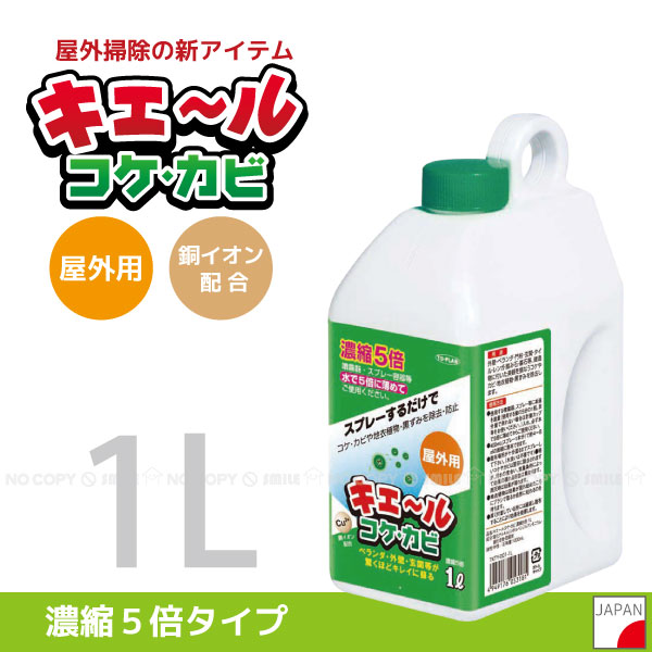 楽天市場 網戸用花粉フィルター E1800 ポスト投函送料無料 花粉症 対策 グッズ ホコリ 侵入を防ぐ 住マイル