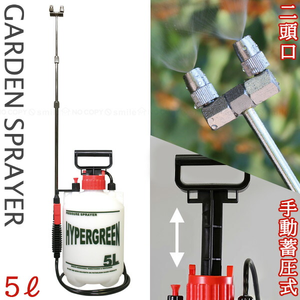 無農薬　カラマンシー　 2キロ 無農薬 カラマンシー 2キロ