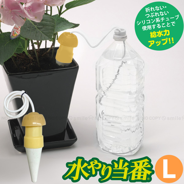楽天市場】水やり当番 L【コンパクト便】/ 水やり サイフォン 毛細管