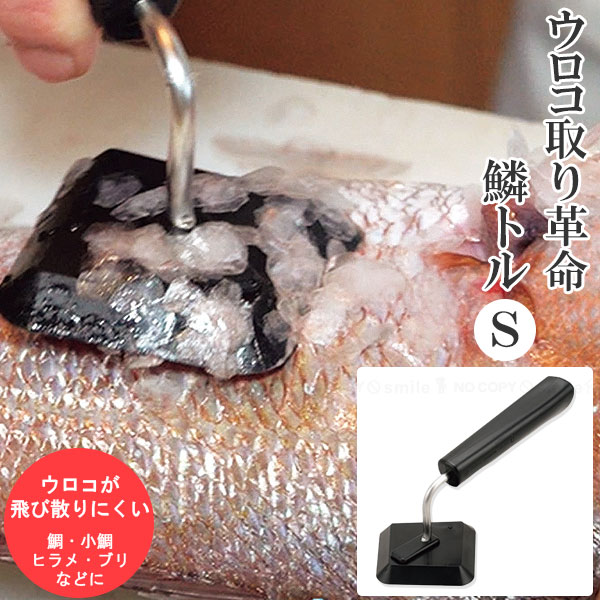 【楽天市場】鱗トル Sサイズ PU-002 [nyuka]/ 【コンパクト便】 / 鱗取り 魚 鱗 ウロコ うろこ 取り 調理 下ごしらえ ...