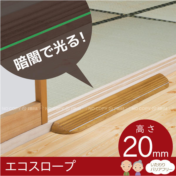 エコスロープ20[SO-ES20P]/【ポイント　倍】