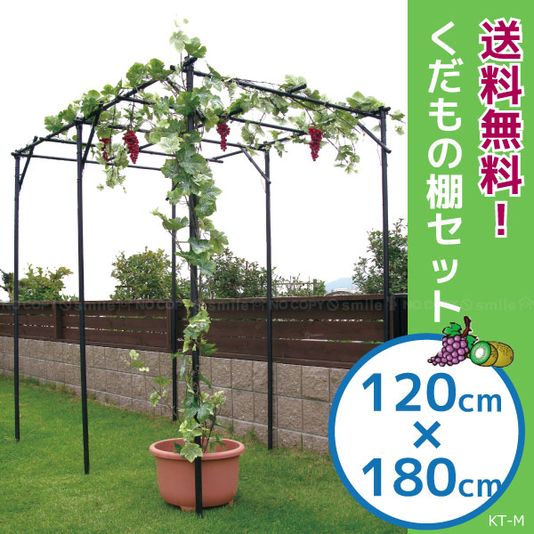 はまゆう‼️】【美品❣️】くだもの棚セット 葡萄棚 藤棚 キウイ棚