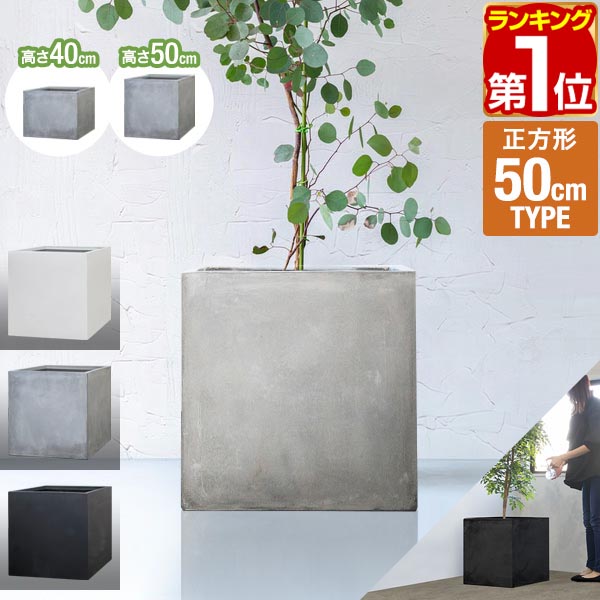 楽天市場】プランター 大型 50×50cm 高さ40cm/50cm スクエア 正方形 深 