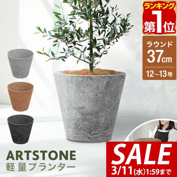 楽天市場】【3,300円→SALE2,970円〜3/11(水)01:59まで】【楽天1位