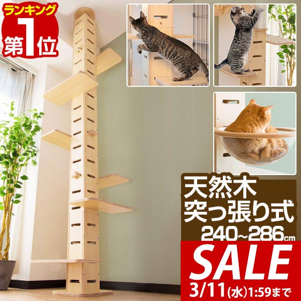 楽天市場】[最大400円OFFクーポン] キャットタワー 突っ張り スリム