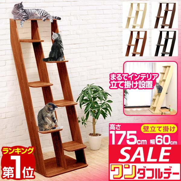 楽天市場】マルカン キティウォーク CT-523 : ペット健康便