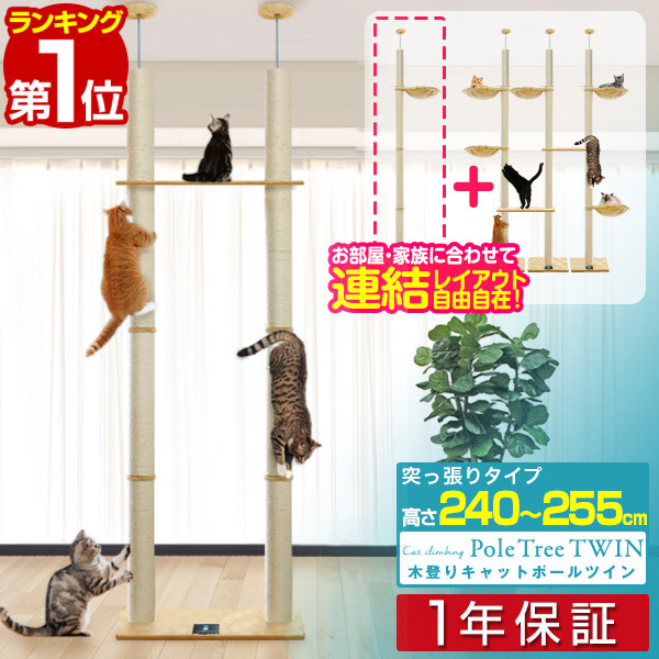 【10,450円→SALE9,790円～6/11(木)01:59まで】【1位】キャットツリー 突っ張り ツイン 差しわたし 10珊 高さ 240 - 255珊 幅 75珊 渡り板付き添い人 猫高閣 年がしら 運動すること機能不全 木上り勾配 き幟旗 木上り勾配高閣 木上り勾配キャットポール 精神的な統合 据え付ける ■[貨物輸送無料]