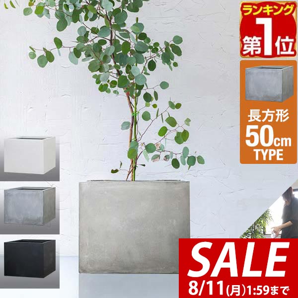 ハマセンダン鉢からの高さ90センチ ハマセンダン鉢からの高さ90センチ ハマセンダン鉢からの高さ90