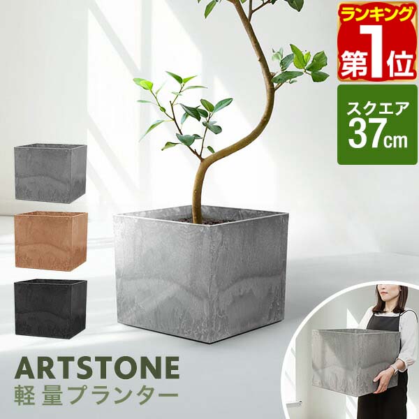 楽天市場】【5,500円→SALE4,950円〜9/11(木)01:59まで】【楽天1