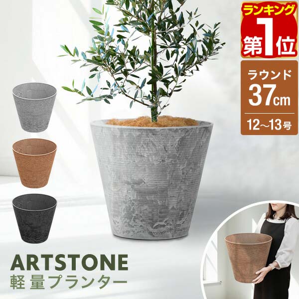 楽天市場】【3,300円→SALE2,970円〜12/11(木)01:59まで】【楽天1位
