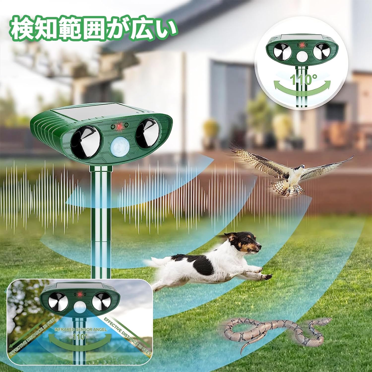 jsgyh-lq-36.jpg