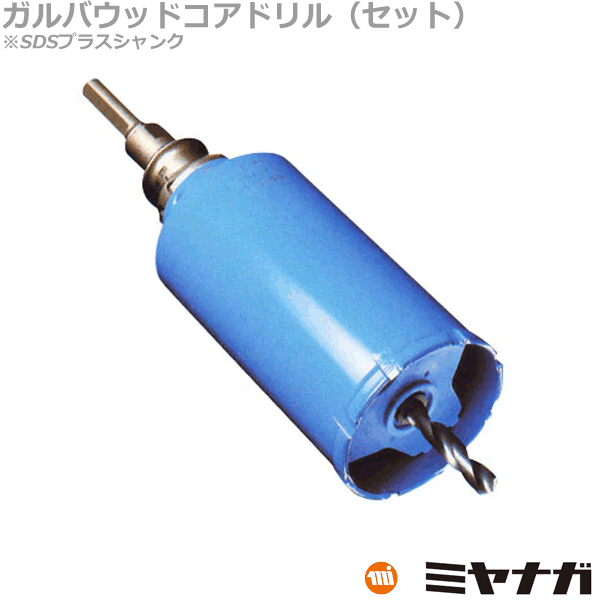 【貨物輸送無料】ミヤナガ PCGW200R 中核グループせん孔機 ガルバウッド 仕掛ける SDSプラスシャンク ポリ鳴らす 200粍