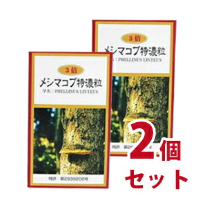 スポルディング 部活勇気付ける社会的運動！