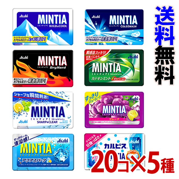 ミンティア レギュラー 選べる100個セット 20個セット×5種 MINTIA-000008 通販 激安◇