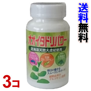 オオイタドリパワー　240粒（波動法製造株式会社）　3個セット　【smtb-k】【ky】-000008｜ナデシコの森
