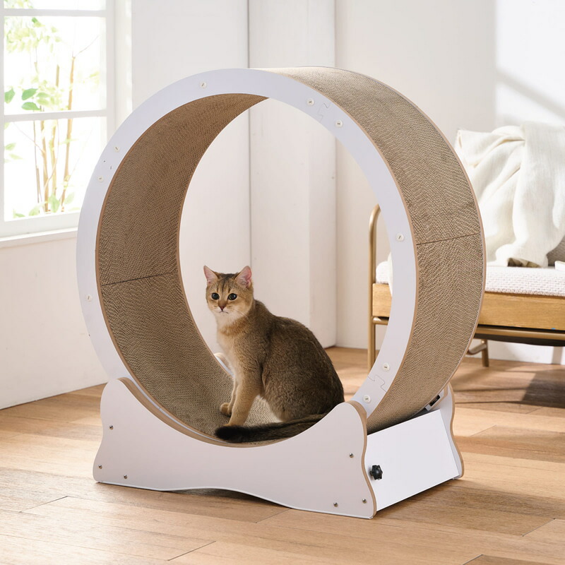 楽天市場】ボンビアルコン キャットホイール ホワイト80 7kgまで 猫用