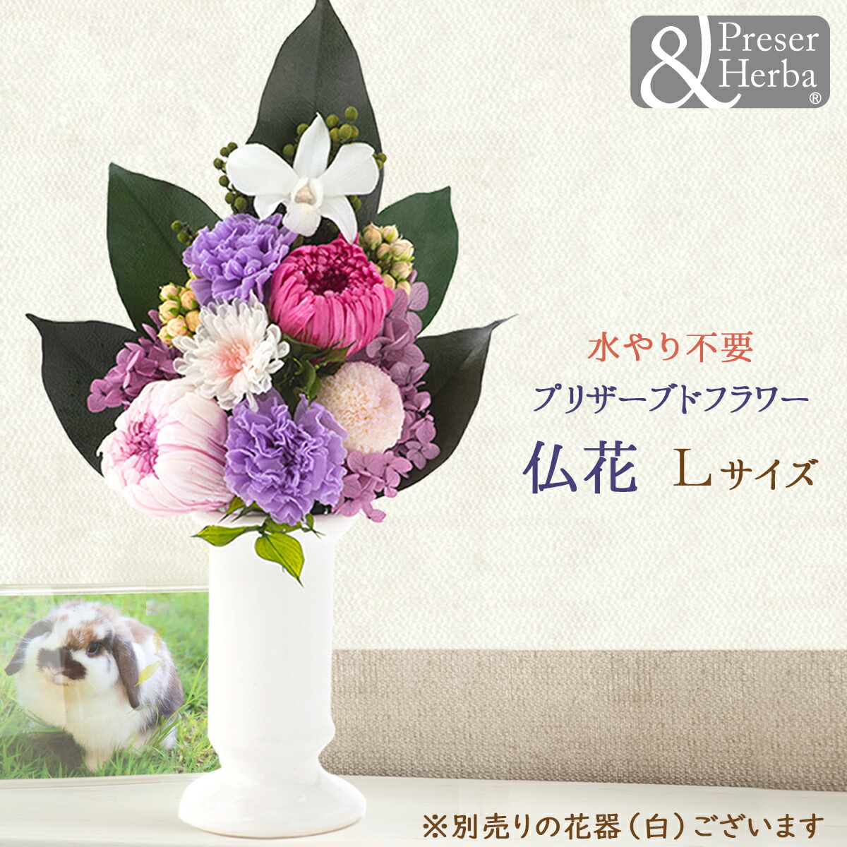 プリザーブドフラワー 仏花 フラワー お供え 仏壇用 お彼岸 お悔やみ お盆 送料無料 初盆 蓮華 れんか プリザーブドフラワー 花 フラワー アレンジ 蓮華 れんか プリザーブドフラワー 仏花 L 大サイズ メインカラーは白 ホワイト ピンク 紫 パープル 送料無料 プリザーブドフラワー 仏花 フラワー お供え 仏壇用 お彼岸 お悔やみ お盆 送料無料 初盆 蓮華 れんか プリザーブドフラワー 花 フラワー アレンジ 蓮華 れんか プリザーブドフラワー 仏花 L 大サイズ メインカラーは白 ホワイト ピンク 紫 パープル 送料無料