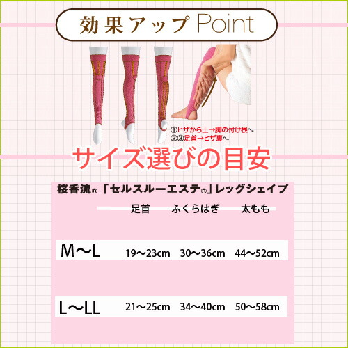 送料無料 選べる 枚ティームひとまとまり 退紅香流 太腿 ふくらはぎ 桜香純子 細胞スルーエステ レッグシェイプ 所キャラバンシング Advancing Smtb M 送料無料は沖縄を除きます Digitalland Com Br