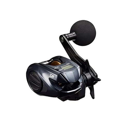 ダイワ(DAIWA) 両軸リール 22 ライトゲーム IC 150L(2022モデル) 送料無料