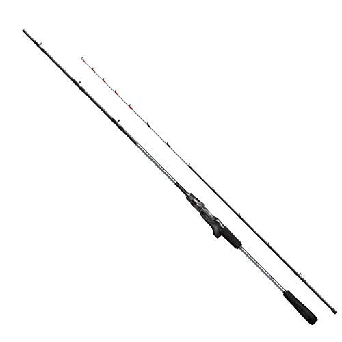 シマノ(SHIMANO) 船竿 19 ライトゲーム CI4+ TYPE73 MH225 右 送料無料