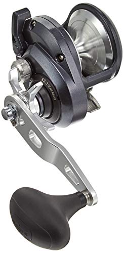 シマノ(SHIMANO) ベイトリール 両軸 20 トリウム 2000HG(右) ジギング 初心者向け 送料無料