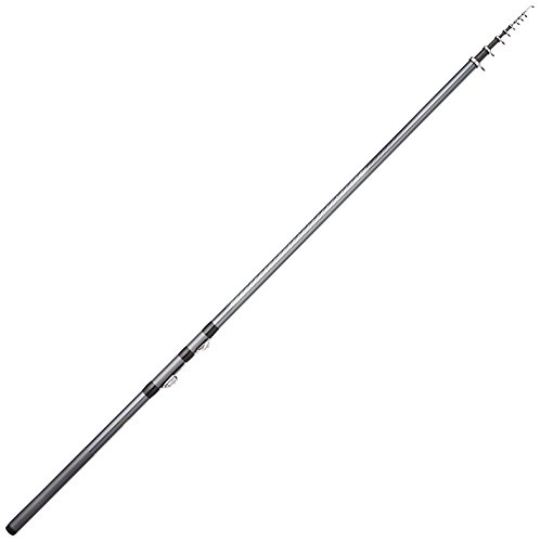 シマノ(SHIMANO) 磯竿 17 ホリデー磯 2号 450 サビキ釣り 送料無料