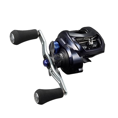 ダイワ(DAIWA) ベイトリール 23SALTIST TW 300XH PE SPECIAL 貨物輸送無料 リール-フィッシング-リール本体