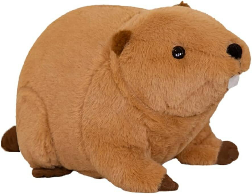 楽天市場】動物ぬいぐるみ 陸のぬいぐるみ ビーバー ぬいぐるみ S