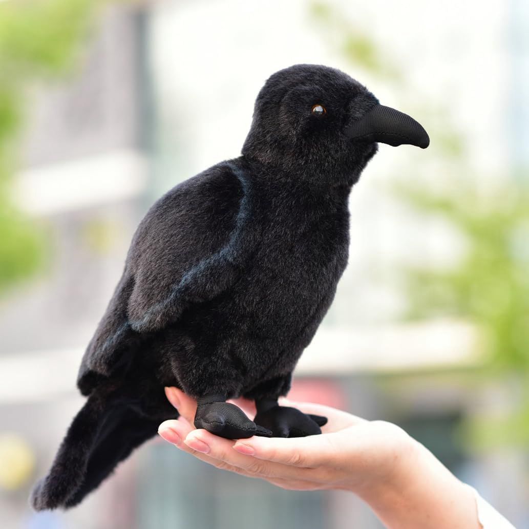 楽天市場】ケーセン ぬいぐるみ kosen ミヤマカラス 29cm “Ilse” Rook